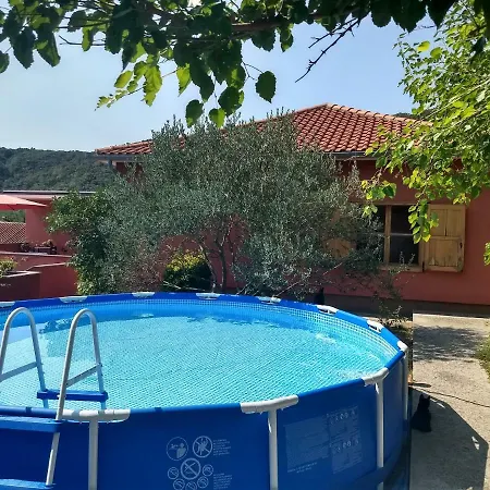 Tariba