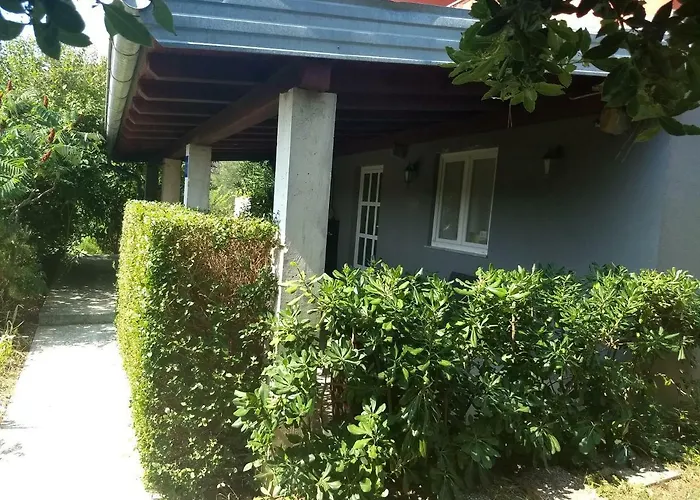 Tariba *